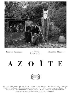 Affiche azoite allocine